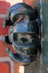 Detail
<br/>
Gert-Jan Lobbes, 2016